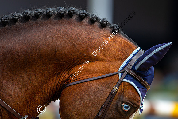 LGCT London