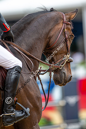 LGCT London