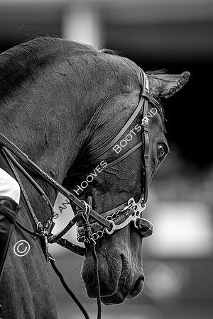 LGCT London