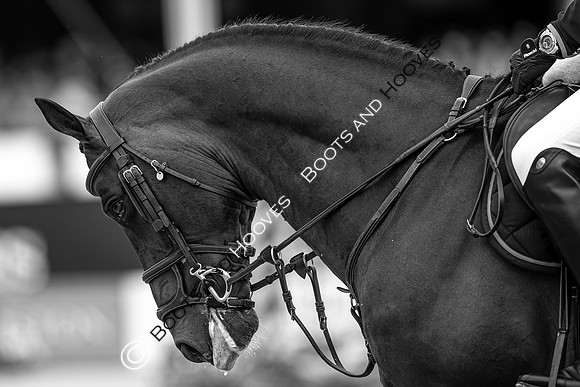 LGCT London