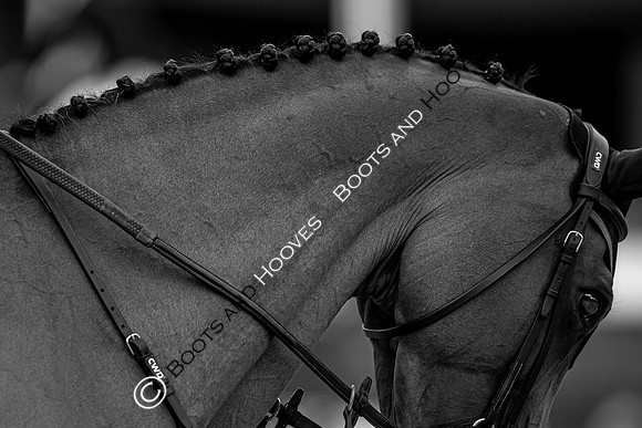 LGCT London