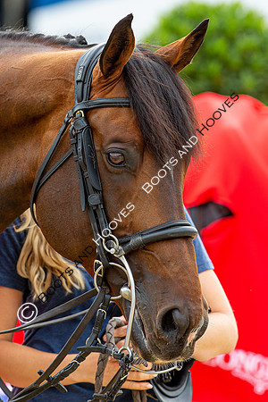 LGCT London