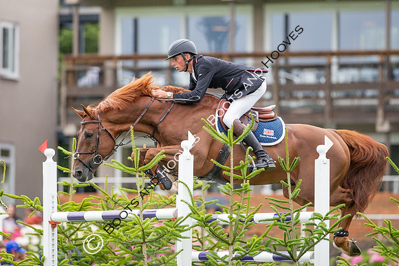 The AGRIA Royal International Horse Show