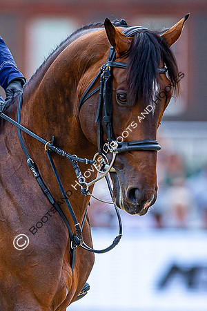 LGCT London