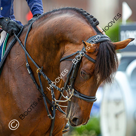 LGCT London