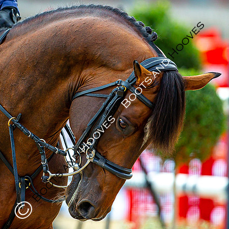 LGCT London