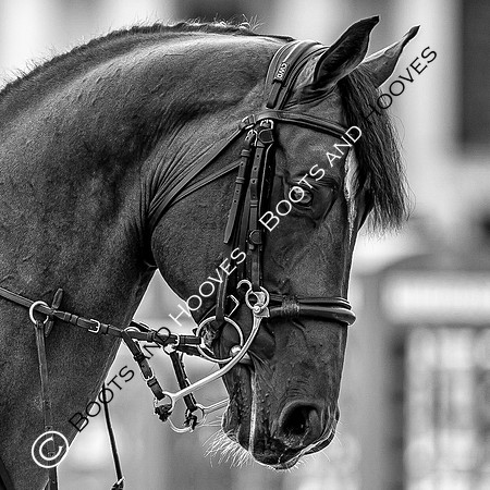 LGCT London