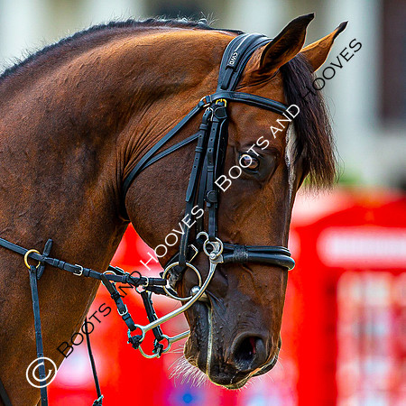 LGCT London