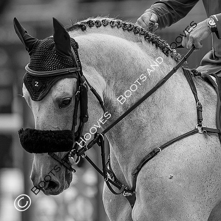 LGCT London