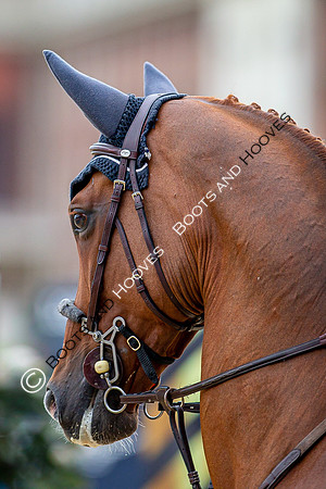 LGCT London