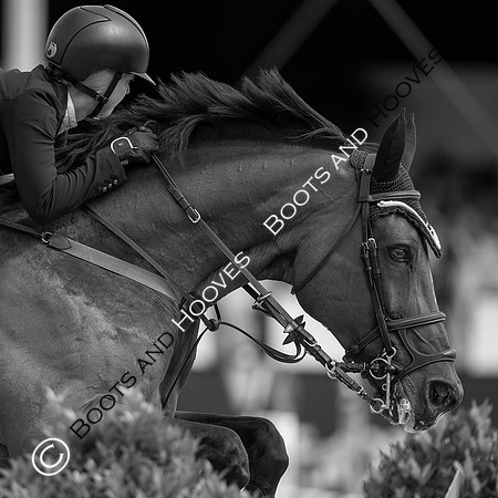 LGCT London