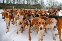 Hound Exercise