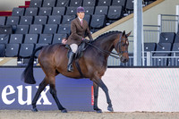 Royal Windsor Horse Show
