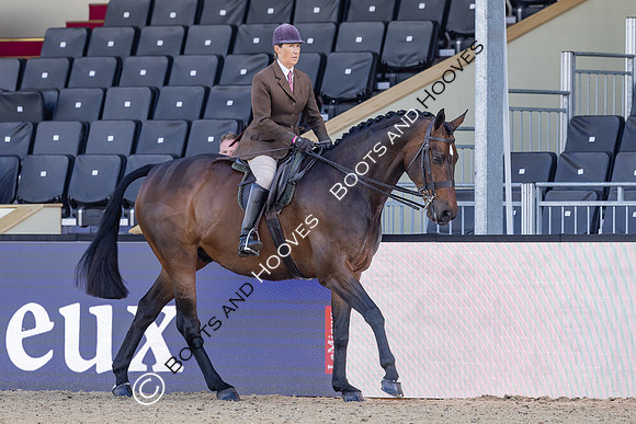 Royal Windsor Horse Show
