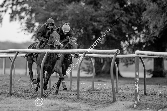 Newmarket