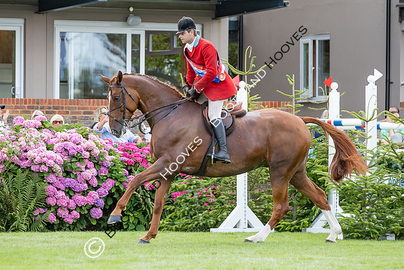 The AGRIA Royal International Horse Show