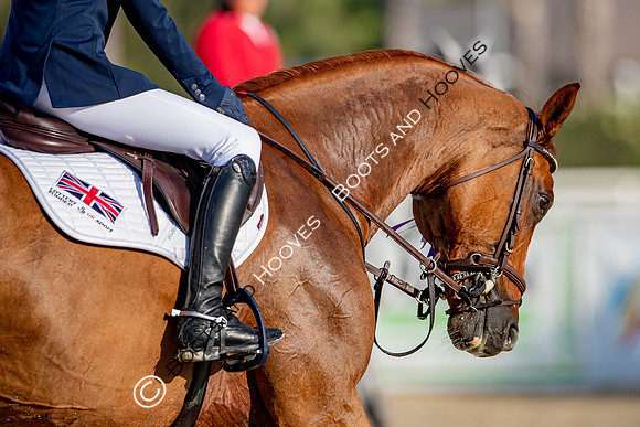 FEI Junior European Championship Young Riders, Juniors & Childre