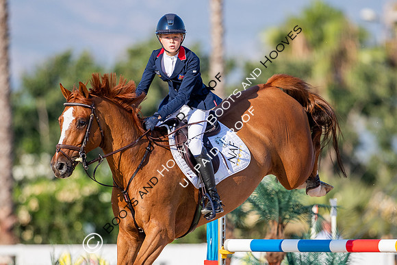 FEI Junior European Championship Young Riders, Juniors & Childre