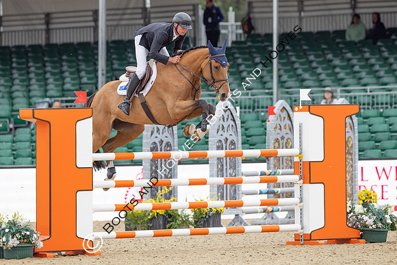 Royal Windsor Horse Show