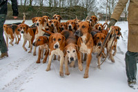 Hound Exercise