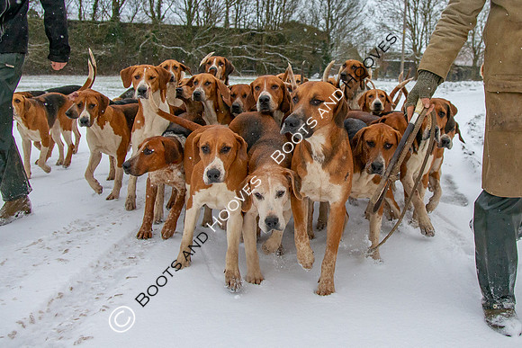 Hound Exercise