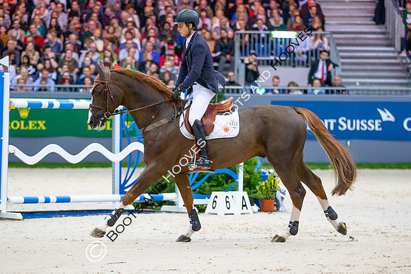 Showjumping