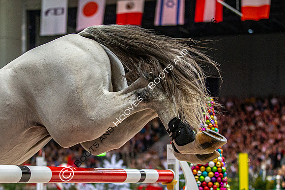 Showjumping