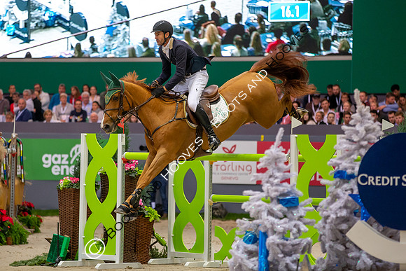 Showjumping