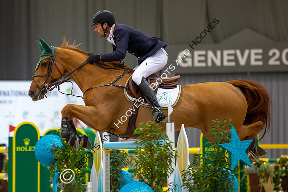 Showjumping