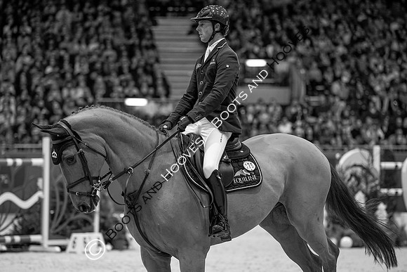 Showjumping