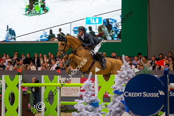 Showjumping