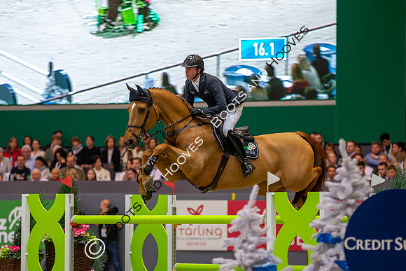 Showjumping