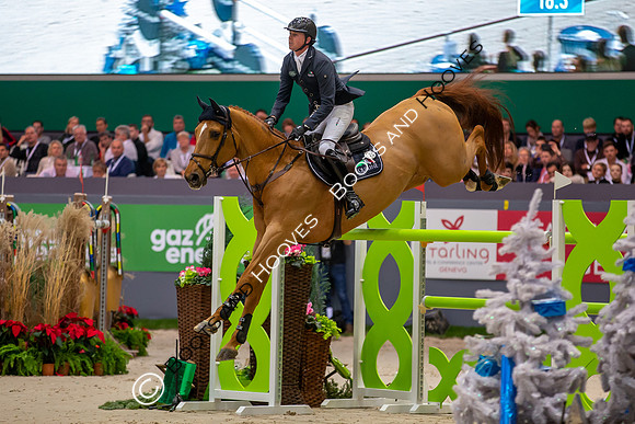 Showjumping