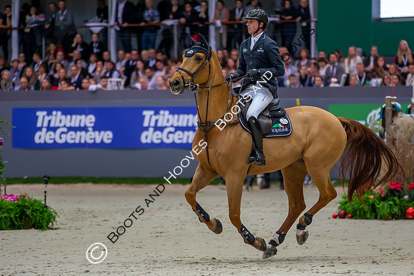 Showjumping
