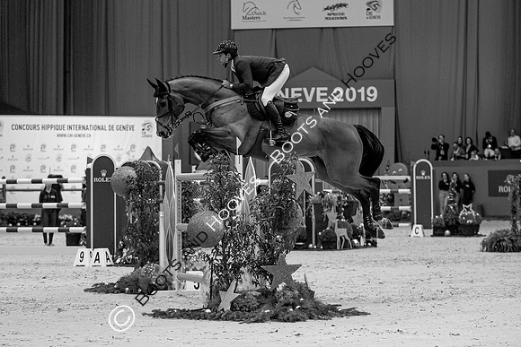 Showjumping
