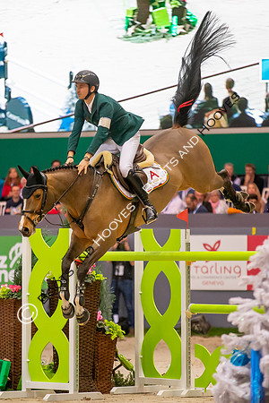 Showjumping