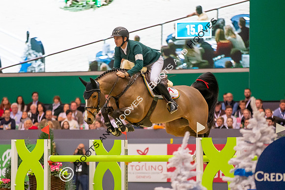 Showjumping