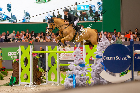 Showjumping