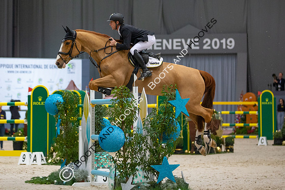 Showjumping