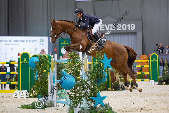 Showjumping
