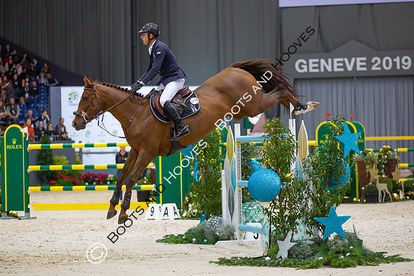 Showjumping