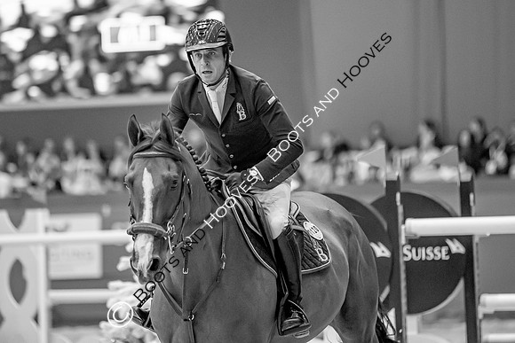 Showjumping