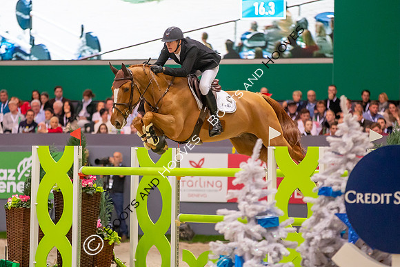Showjumping