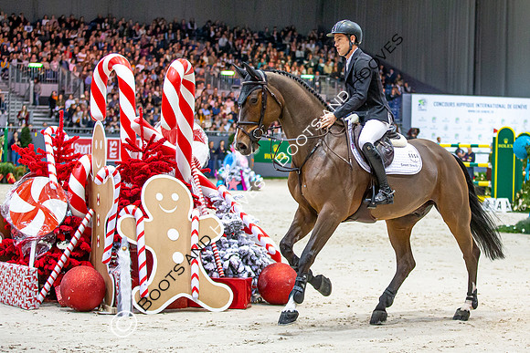 Showjumping