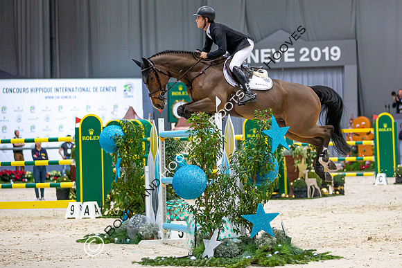 Showjumping