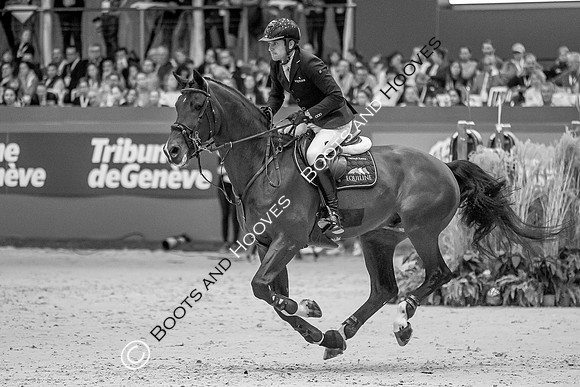 Showjumping
