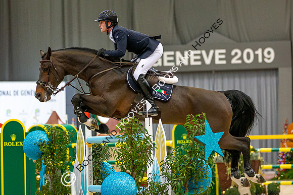 Showjumping