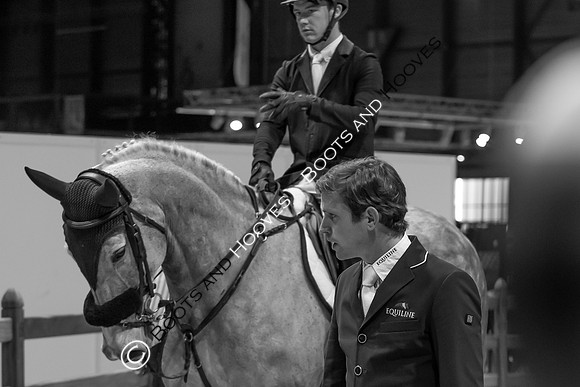 Showjumping