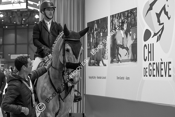 Showjumping