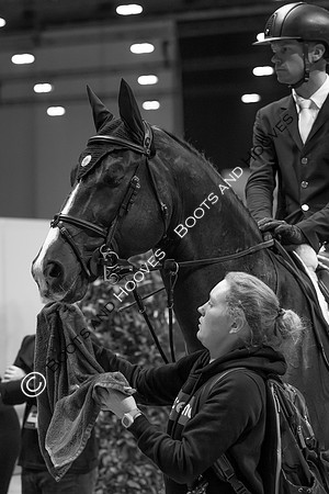 Showjumping